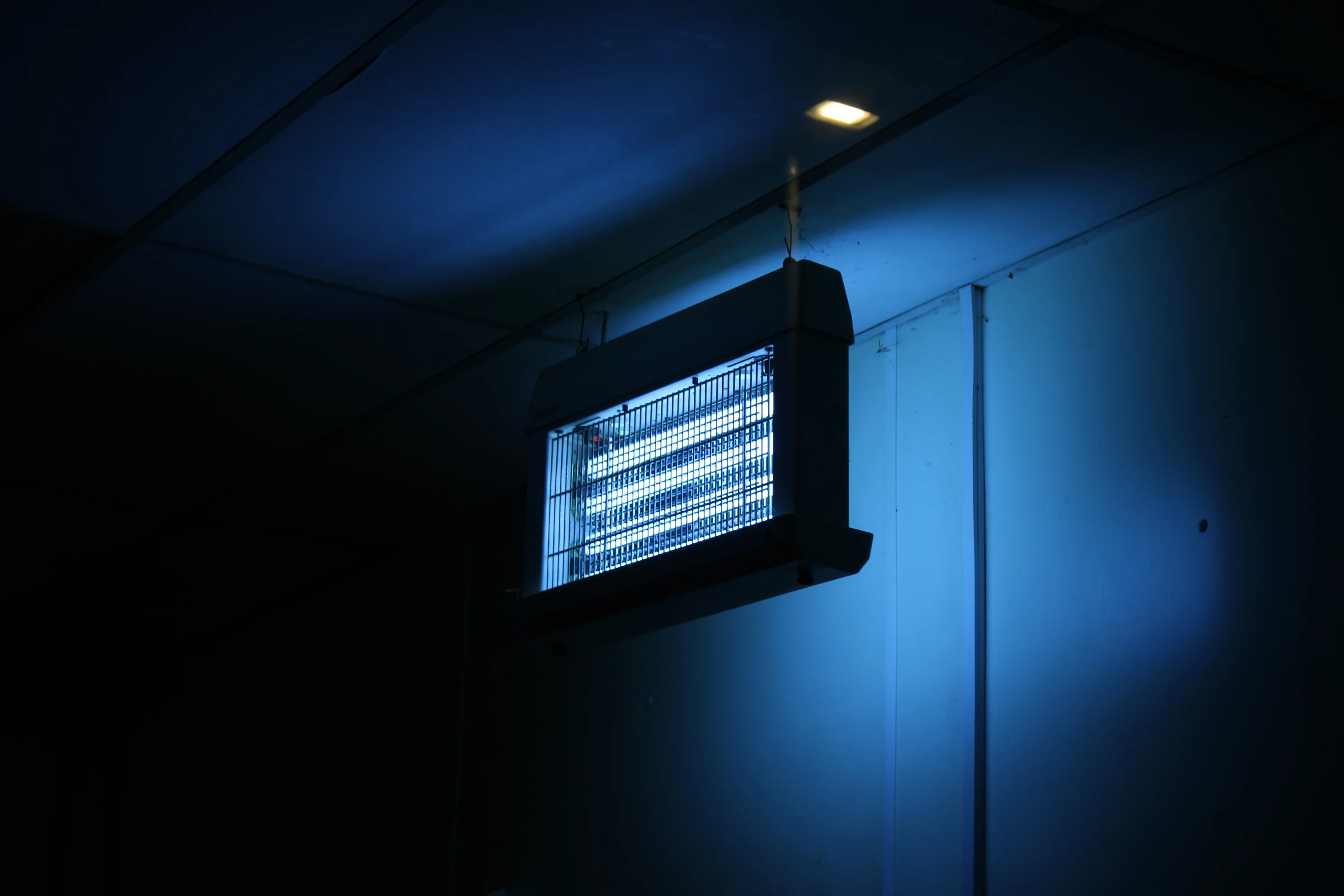 Lutte contre les insectes volants - mouches, moustiques, mites alimentaires