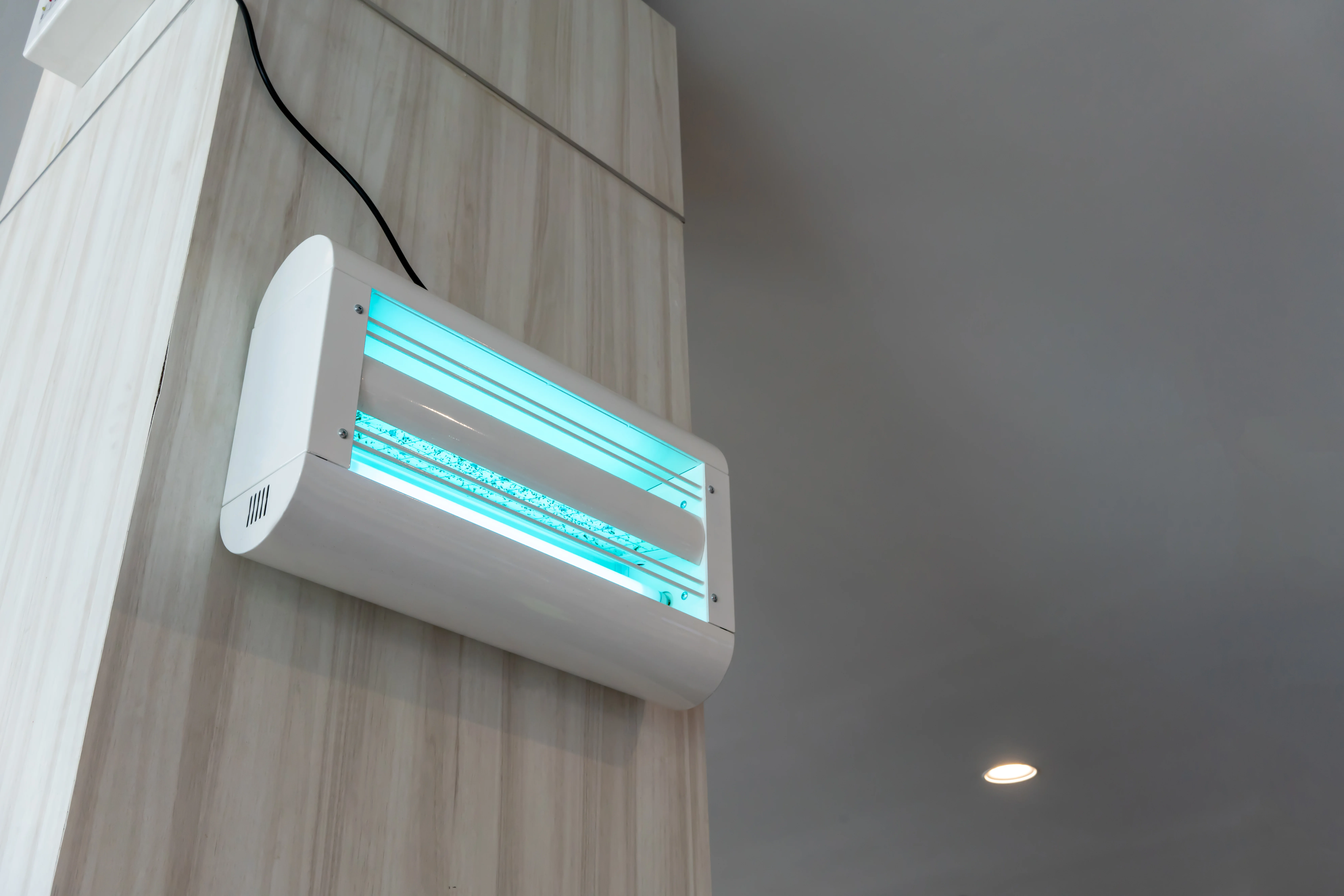 Dispositif anti-insectes volants (DEIV) installé en milieu professionnel